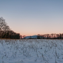 Regard nature au fil des ans