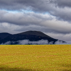 Test Olympus Omsystem